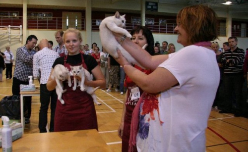 cesis exibition 2010  2 20100706 1176600795 (1)