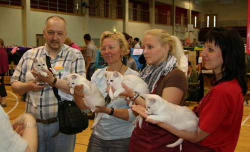 cesis exibition 2010  2 20100706 1242435973 (1)